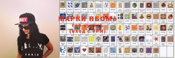 прущие грибы Магас