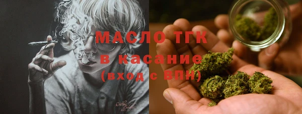 прущие грибы Магас