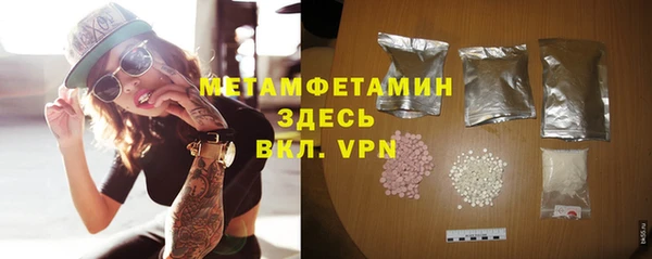 прущие грибы Магас