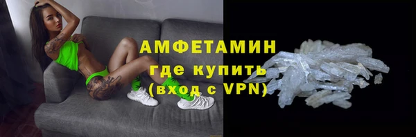 прущие грибы Магас