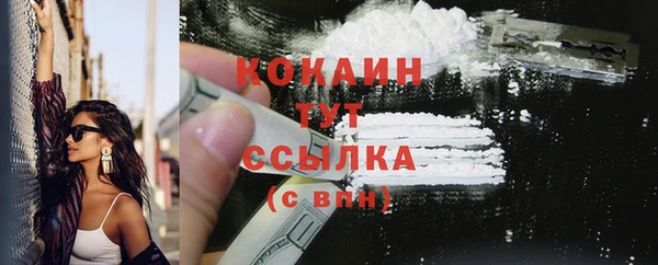 прущие грибы Магас