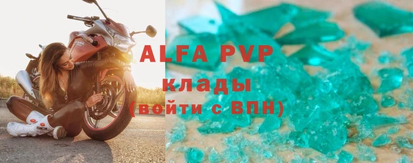 прущие грибы Магас
